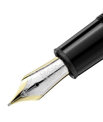 Stylo plume Montblanc Meisterstück Le Grand Economisez 