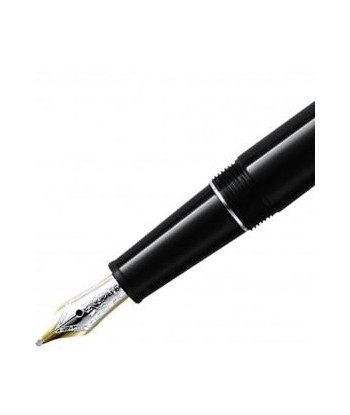 Stylo plume Meisterstück Classique Platiné Noir est présent 