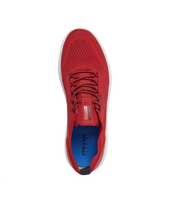 Baskets Spherica Geox homme shop