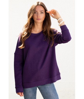 Sweat en coton SUNY ESSENTIEL purple rain les muscles