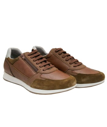 Baskets Geox Avery Homme sur le site 