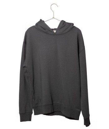 Hoodie en coton bio ALBERT anthracite pas chere