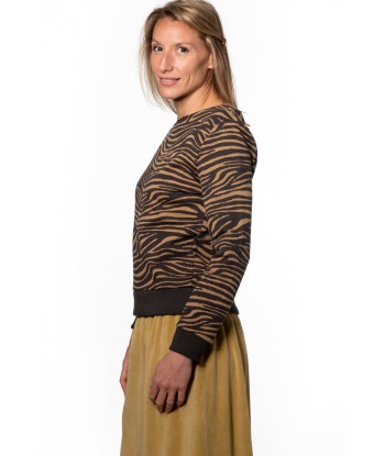 Pull en coton bio COSY SUNY ZÈBRE bronze terre 2 - 3 jours ouvrés.