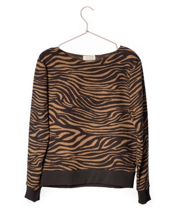 Pull en coton bio COSY SUNY ZÈBRE bronze terre 2 - 3 jours ouvrés.