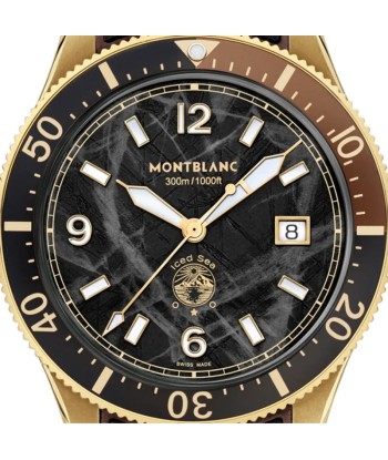 Montblanc Iced Sea Automatic Date meilleur choix