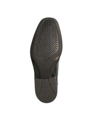 Mocassins Homme FEDERICO Geox Economisez 